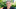 Wer steckt hinter dem Video?